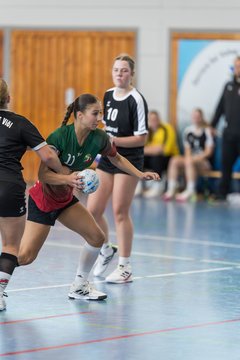 Bild 253 - wBJ HSG Kremperheide/Muensterdorf - HSG Joerl-Doppeleiche Vioel : Ergebnis: 34:23